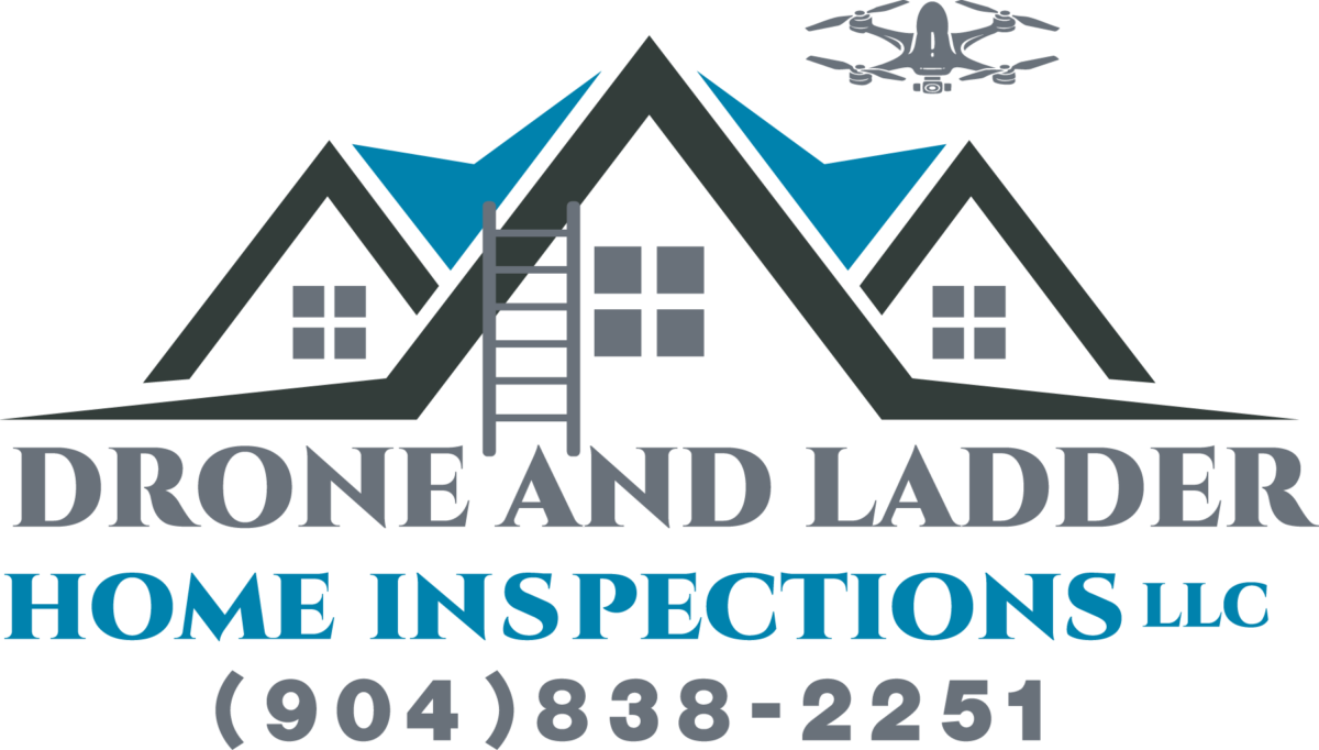 Drone and Ladder 1800px