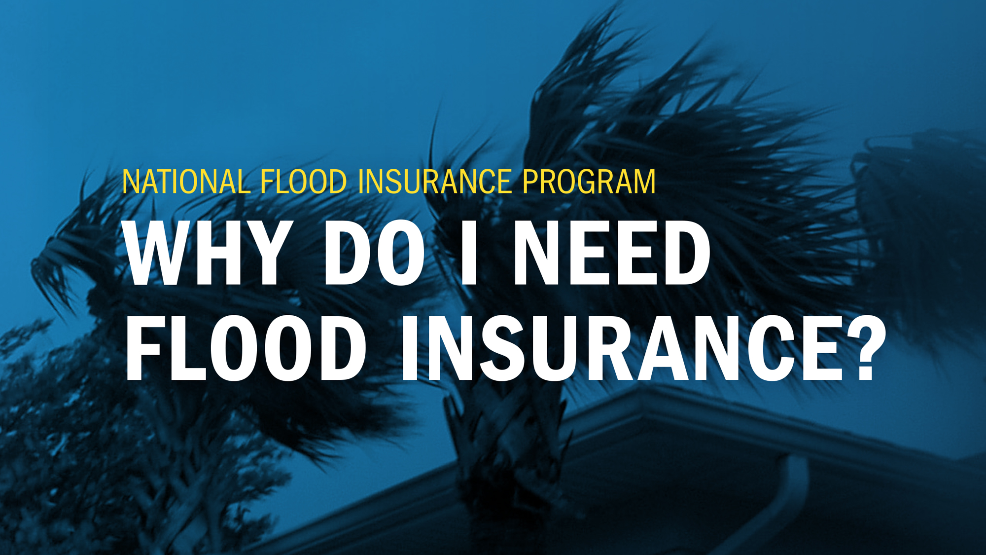 Why Do I Need Flood Insurance?