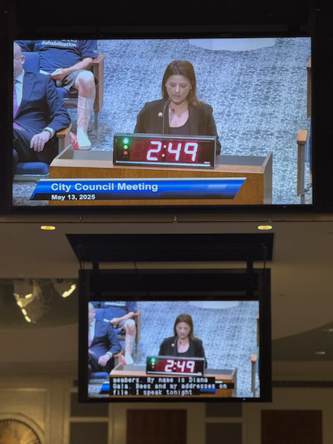 NEFAR member and former 2023 NEFAR President Diana Galavis addresses the Jacksonville City Council on Tuesday, May 13, 2025.