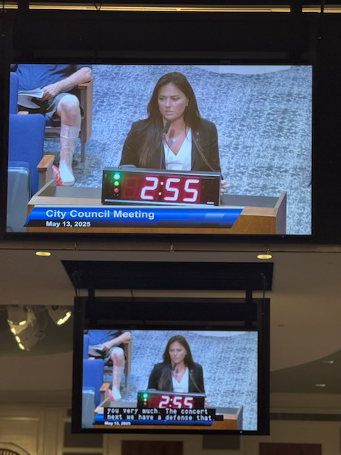 2025 NEFAR Secretary Tiea Vincent addresses the Jacksonville City Council on Tuesday, May 13, 2025.